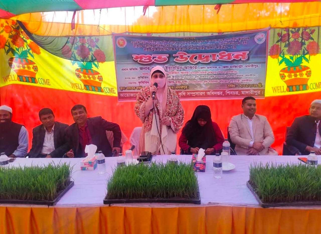 শিবচরে রাইস ট্রান্সপ্লান্টারের মাধ্যমে ধানের চারা রোপণ