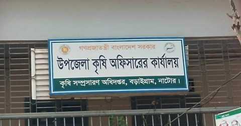 বড়াইগ্রামে কৃষি প্রণোদনা বিতরণে অনিয়মের অভিযোগ।