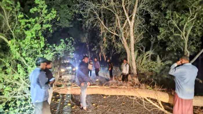 নওগাঁ পত্নীতলায় সড়কে গাছ ফেলে রাতের বেলায় ডাকাতি ও দুর্বৃত্তদের তাণ্ডব