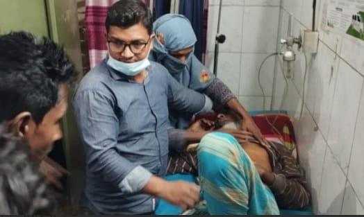 মেহেরপুরে শিয়ালের আক্রমনে ৫ জন আহত