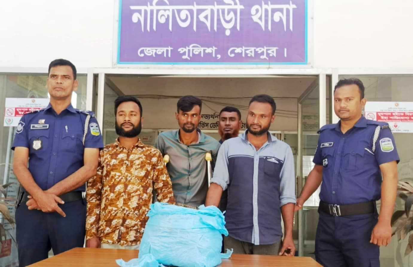 নালিতাবাড়ীতে গাঁজাসহ গ্রেপ্তার ৩