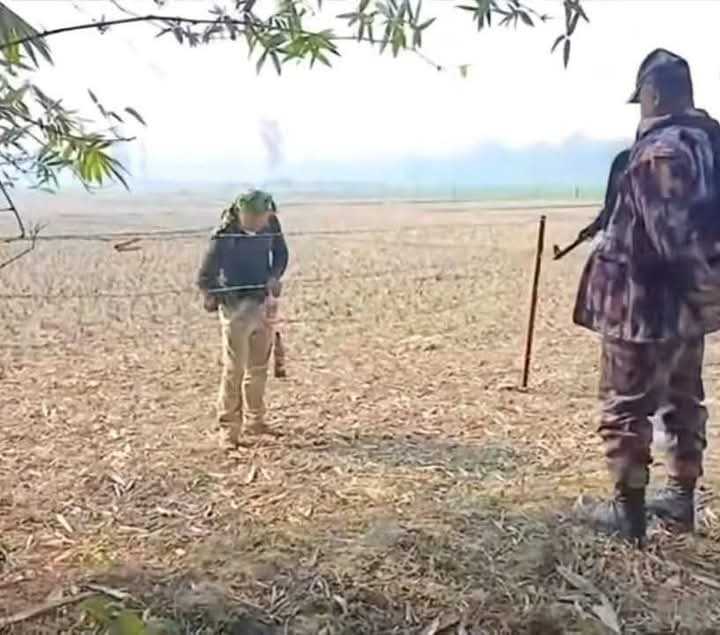 পাটগ্রাম সীমান্তের শূন্যরেখায় বিএসএফের আবারও কাঁটাতারের বেড়া নির্মাণ