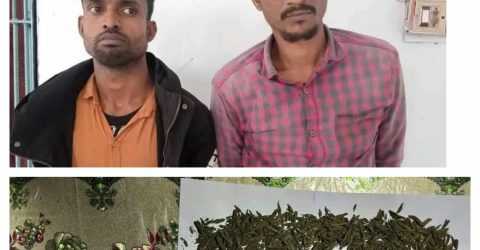 রাজারহাটে সেনাবাহিনীর যৌথ অভিযানে দুই মাদক ব্যবসায়ী গ্রেফতার