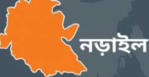 নড়াই ৪ বছরের নাতিকে হত্যা, দাদি গ্রেফতার