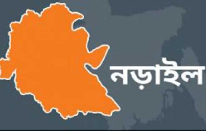 নড়াই ৪ বছরের নাতিকে হত্যা, দাদি গ্রেফতার