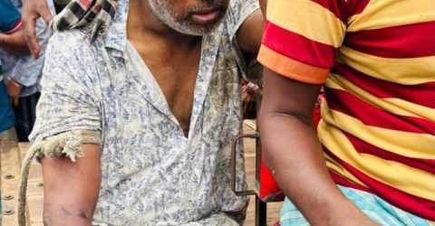 শিবচরে গরু চুরির প্রস্তুতির সময় গরু চোর  শাহিন হাতেনাতে আটক