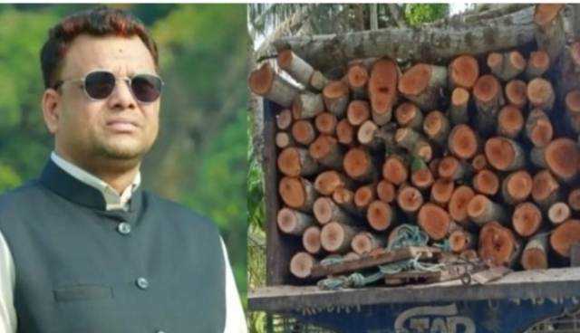 নড়াইলে সরকারি গাছ বিক্রির অভিযোগে চেয়ারম্যানসহ ১৩ জনের বিরুদ্ধে মামলা